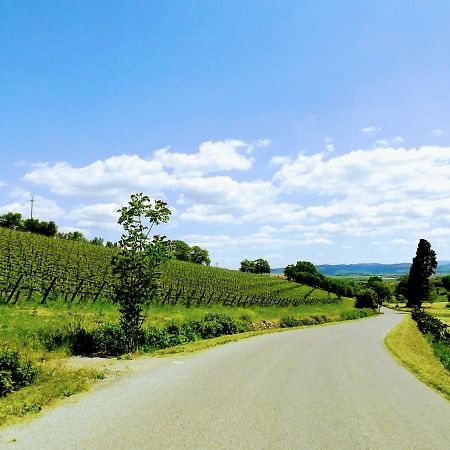 Centralissimo Nel Cuore Del Borgo Suvereto Buitenkant foto
